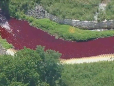 美国新泽西州现鲜红河水 环保部门声称无害