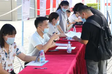 拓宽就业渠道 马田街道开展“高校毕业生”专场公益招聘会