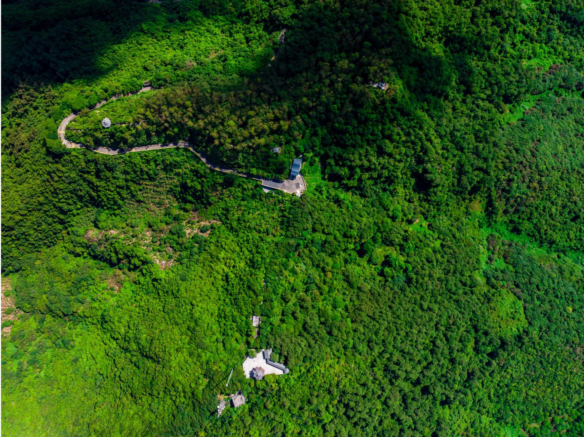 全长13公里！深圳首条山海通廊全线贯通，串联塘朗山-大沙河-深圳湾