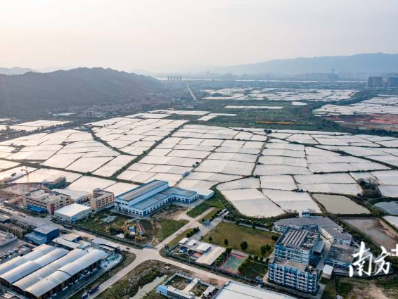 肇庆：加速一二三产融合，迈向规模化产业化市场化