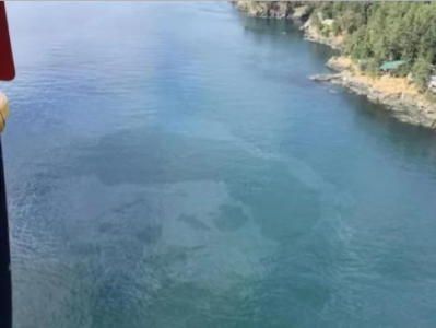 美加交界水域发生漏油事故 形成近2.8公里长污染带