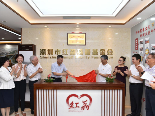 深圳市社会组织党委第一家临时党支部成立