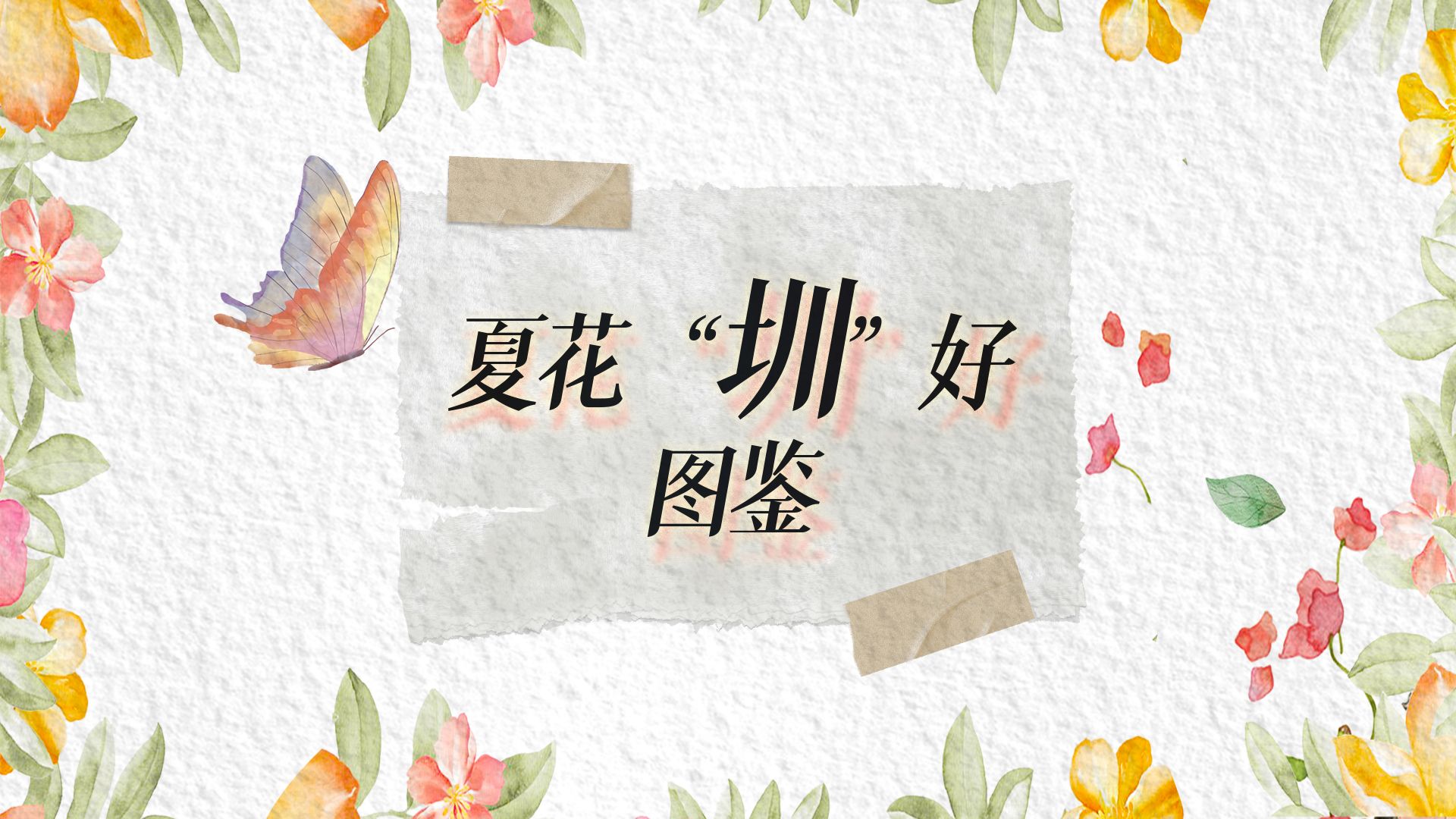 花期圳好 | 今天七夕，送你三生三世21朵花