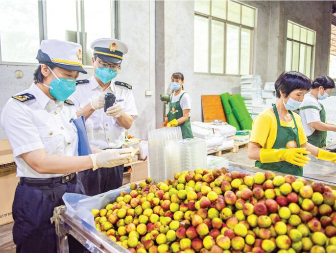 惠州海关多方面优化服务助力外贸高质量发展