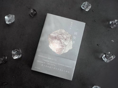夏日推出《一团坚冰》，译林“现场文丛”书系第6部作品亮相