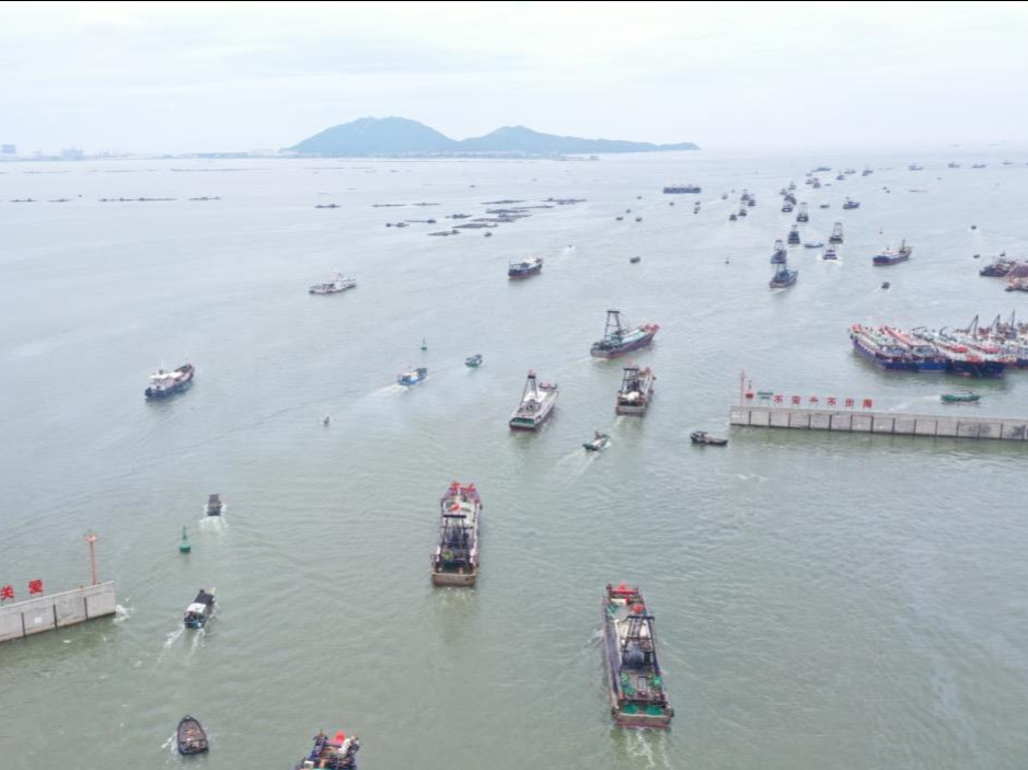 南山做好防台风准备  110艘在册渔船在港避风