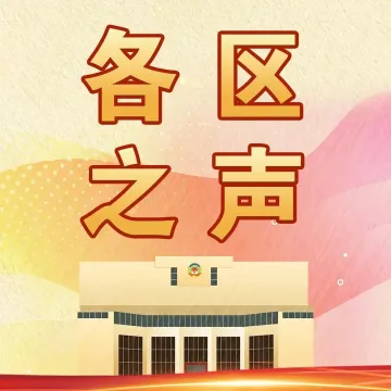 各区之声 | 青春100 提案有你 南山模拟政协提案大赛开启