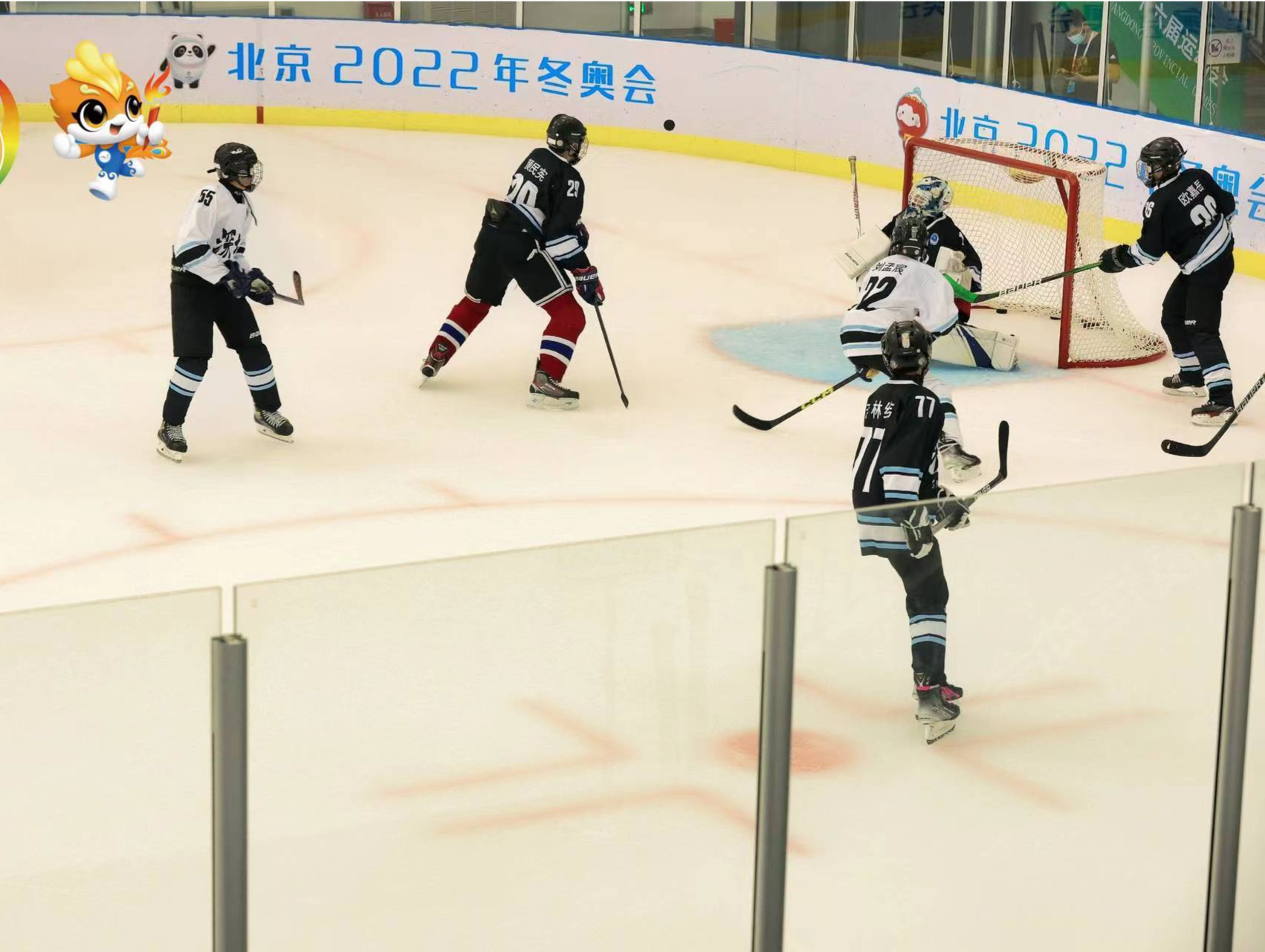 广东省运会首设冰球、花样滑冰项目  比赛将于8月8日在深圳拉开序幕
