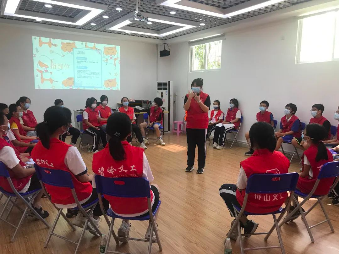 党群共建促提升，碧岭街道助推青少年参与社会实践