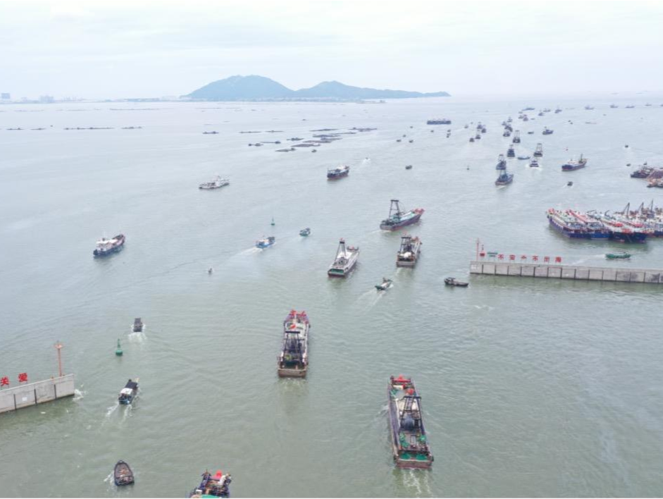 开渔首日，广东多地海事部门多措并举保障渔船安全有序出港