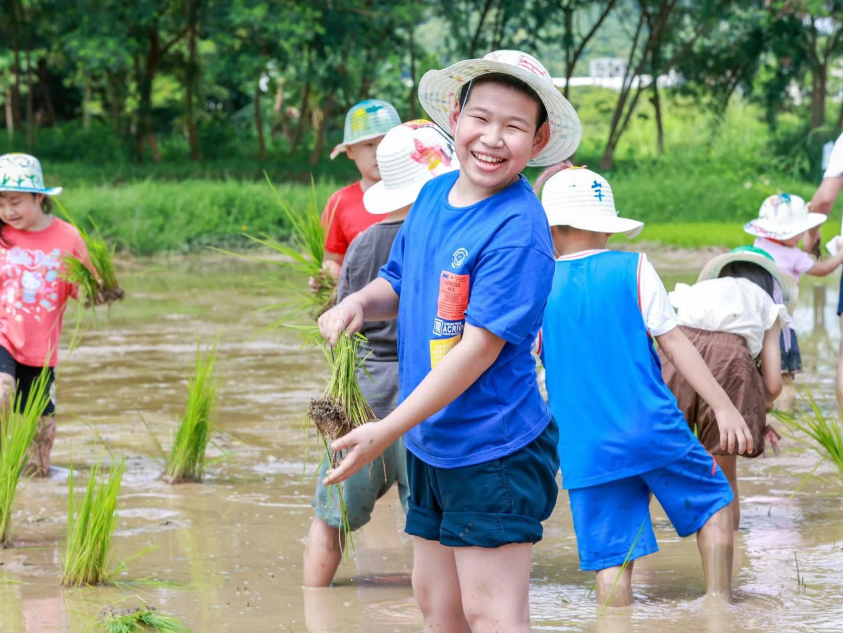 第十八届深圳青少年环保节开幕 下田体验水稻种植