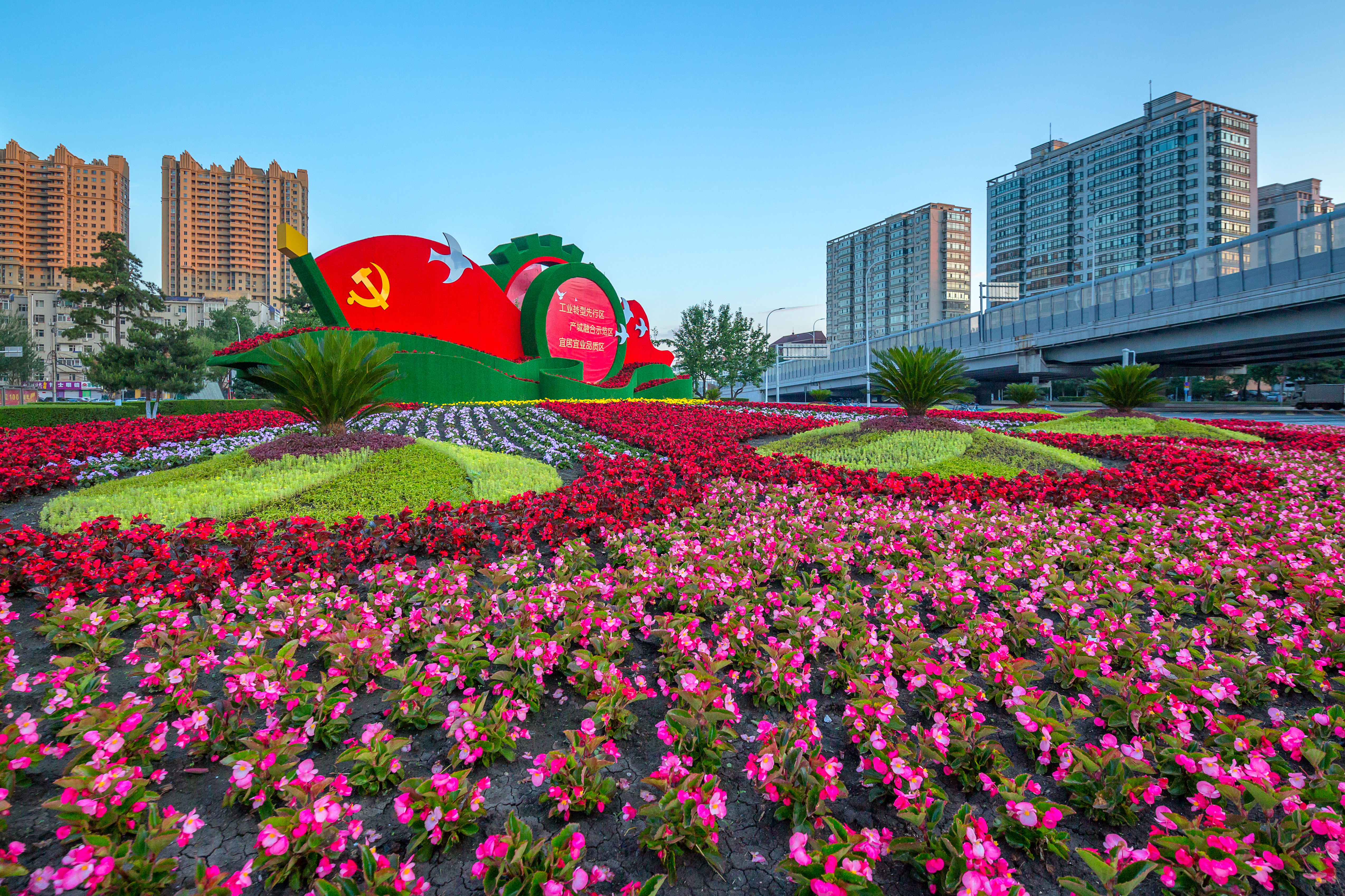 哈尔滨：“绿毯”“花海”打造“宜居幸福之都”