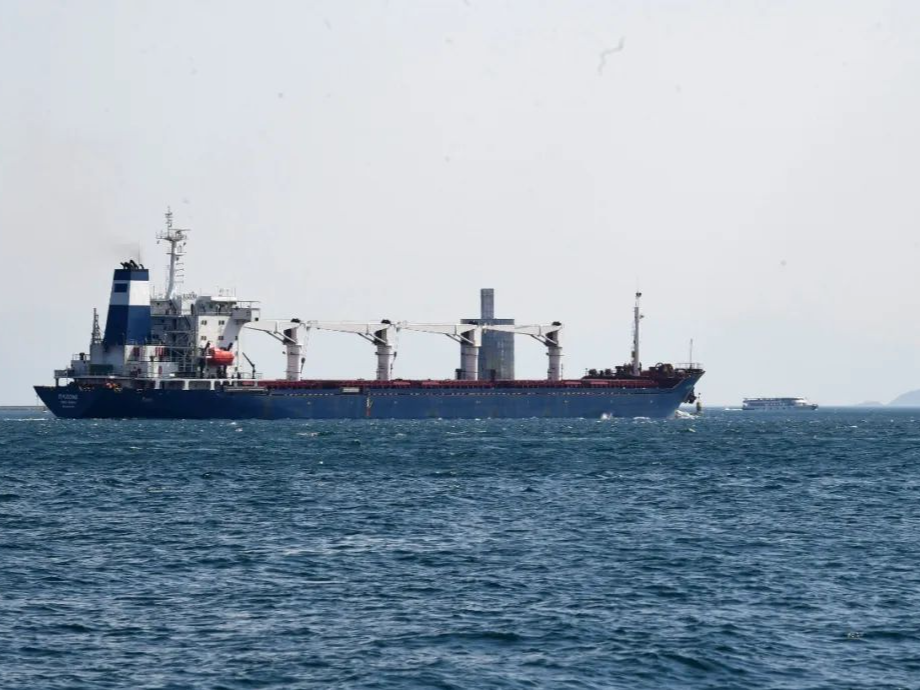 俄土开始用卢布结算部分天然气 第二批运粮船将在土接受检查