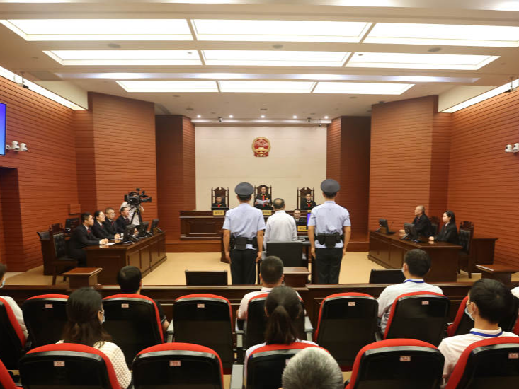 江西省人大常委会原副主任史文清受贿、非法持有枪支一案一审宣判
