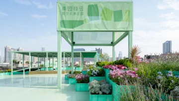 新闻路上说说说｜深圳的“共建花园”，你觉得怎么样？