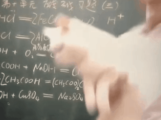 网课教师因宠物猫“抢镜”被炒，合理合法吗？