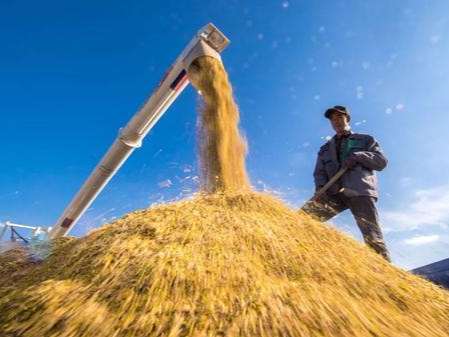 两部门发布2022年农产品进口关税配额再分配公告