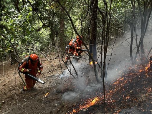 应急管理部：要坚持预防为主坚决遏制森林火灾高发势头