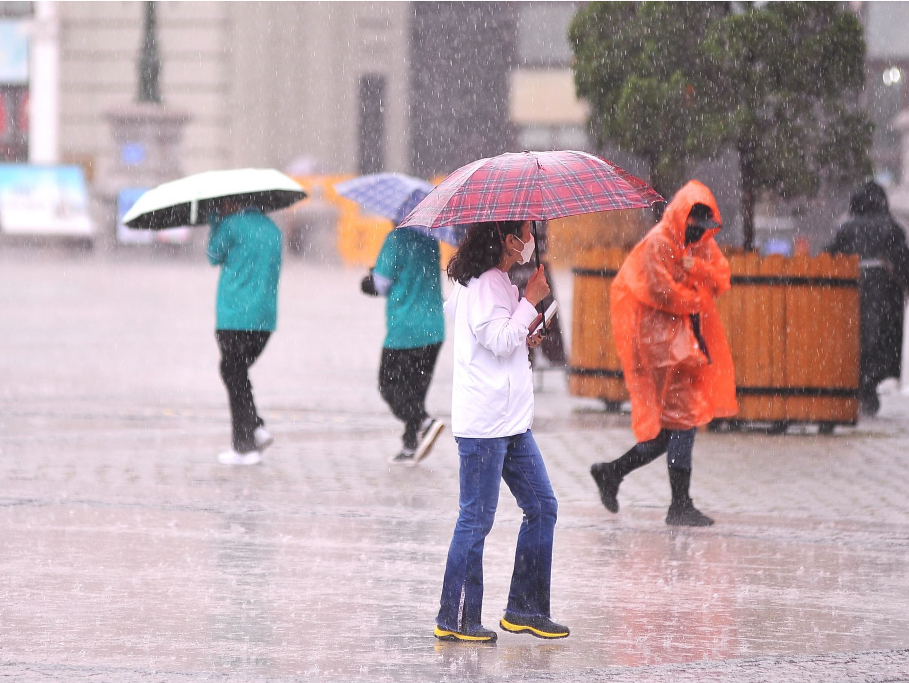 哈尔滨：一场秋雨一场凉，有人已披上棉服