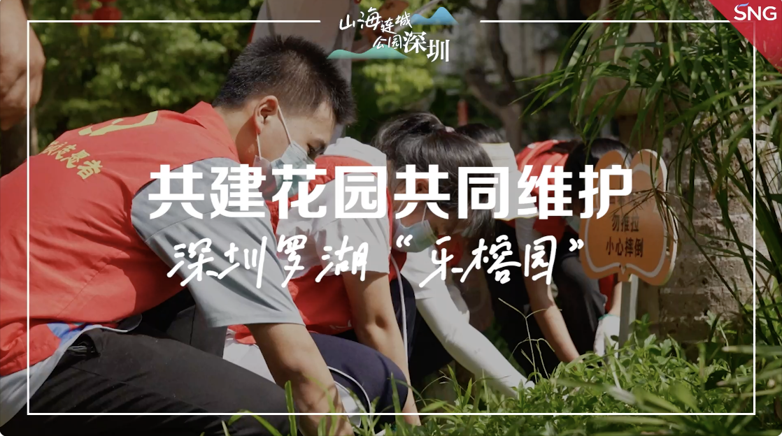 山海连城公园深圳丨深圳东乐社区启动共建花园维护活动