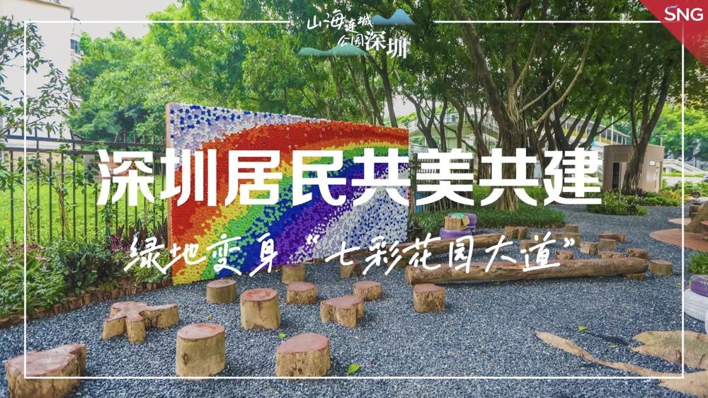 深圳街边绿地变身七彩花园大道