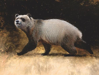 馆藏牙齿化石找到主人，来自六百万年前“最后一只欧洲大熊猫”