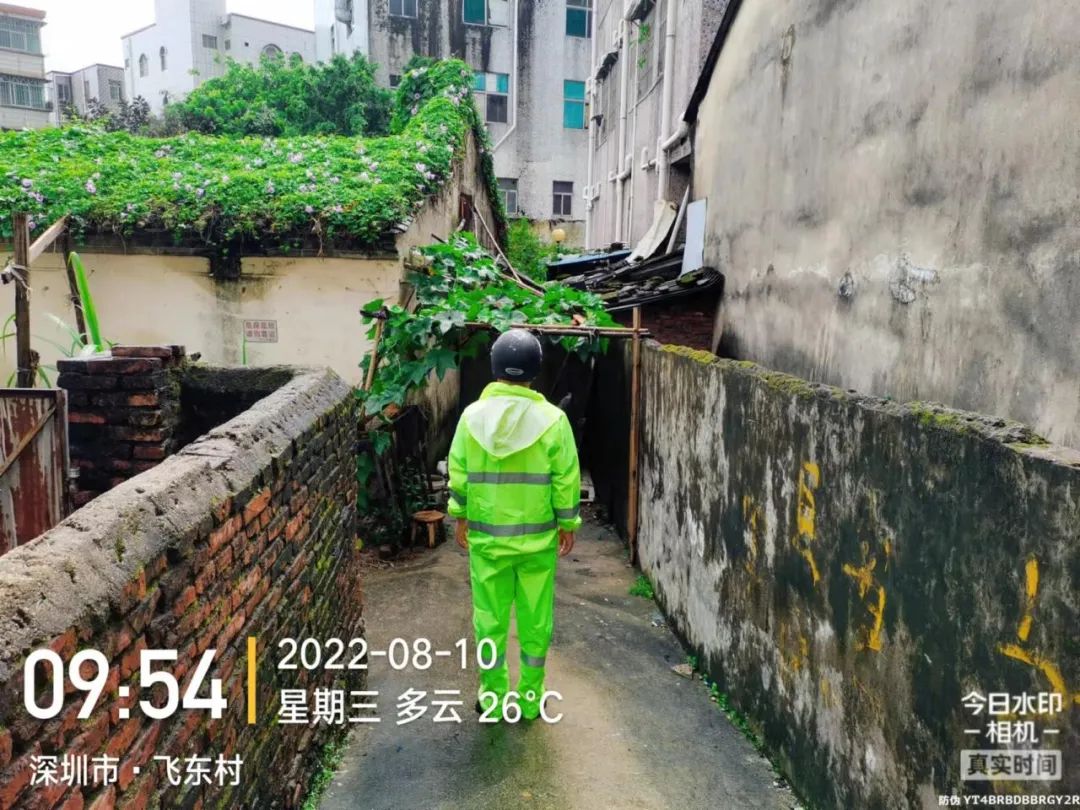 台风天守“坪”安！坪山在行动