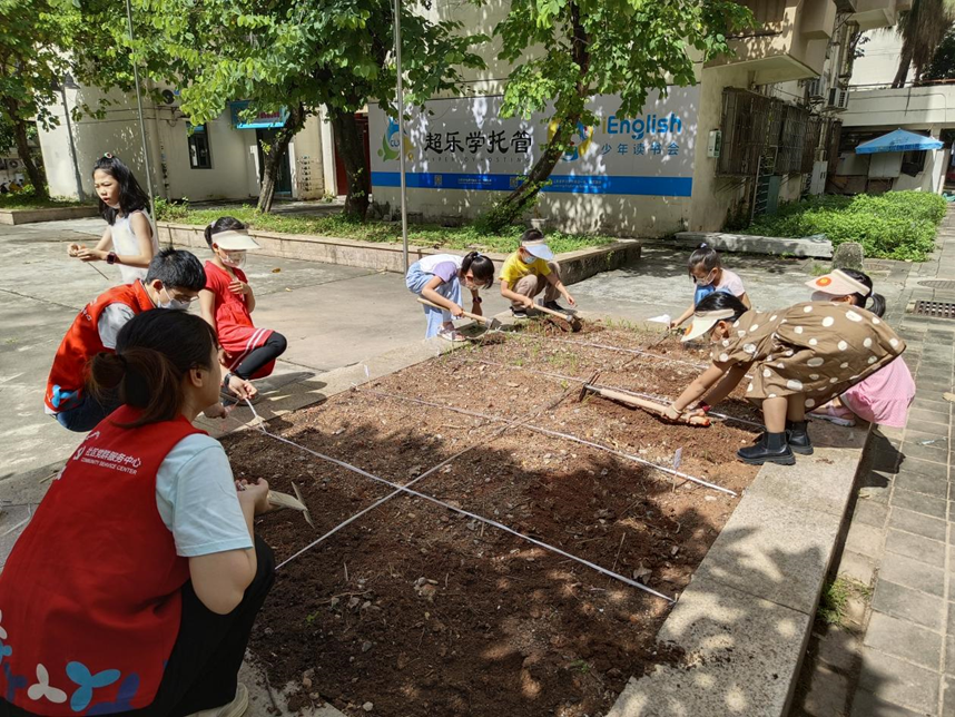 红荔社区开展儿童园艺种植活动