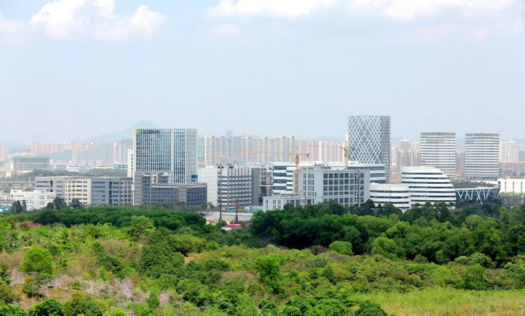 再创佳绩！坪山引导基金入选“中国政府引导基金最佳服务”榜单
