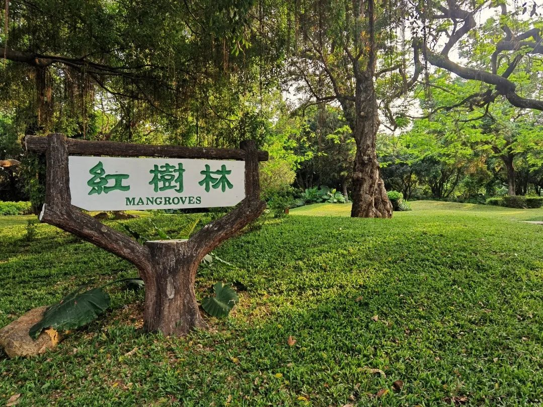 受台风影响，深圳福田红树林自然保护区暂停开放