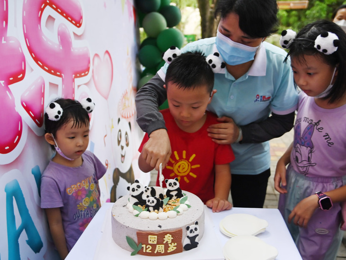 深圳野生动物园大熊猫“园舟”迎来12岁生日