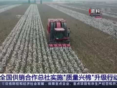 全国供销合作总社实施“质量兴棉”升级行动