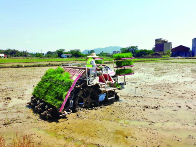 惠州举行水稻生产机械化种植技术集成示范现场演示会 今年春耕机耕率预计可达99%