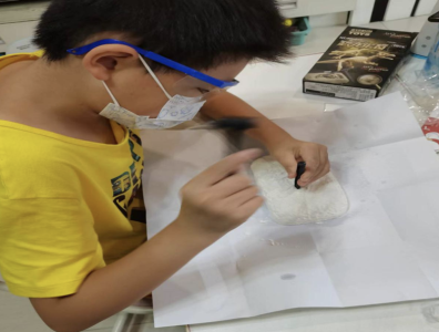 探索化石里的秘密 木头龙社区开展DIY活动  
