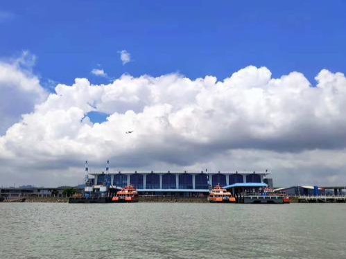 8月21日起 深圳机场码头部分航线停航