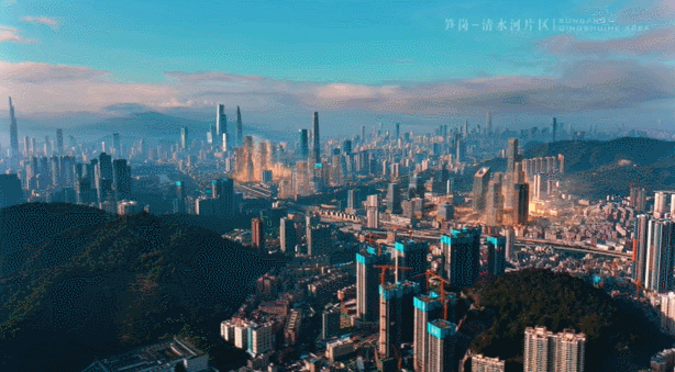 漫游罗湖 | 笋岗“流量密码”，你最pick哪一位？