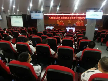凤凰街道84名安全巡查员参加业务培训提升履职能力  