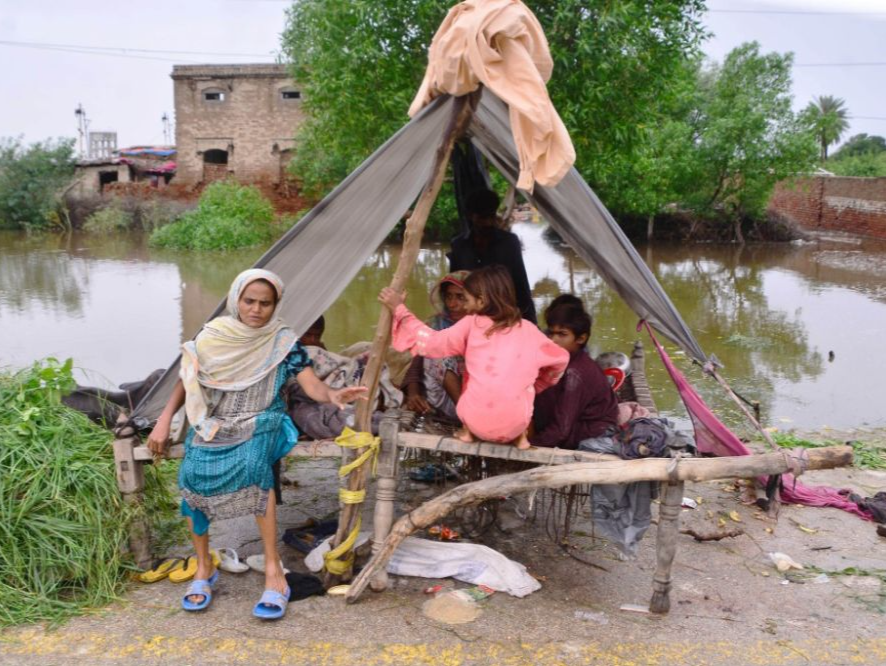 巴基斯坦洪灾已致近千人丧生   