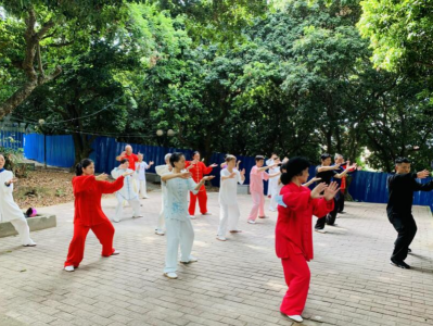 深圳南山桃源街道珠光社区举行传统武术进社区活动