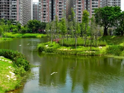 深圳今年首次排污单位环境信用评价结果出炉！24家企业获环保诚信绿牌