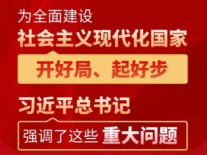 为全面建设社会主义现代化国家开好局、起好步，习近平总书记强调了这些重大问题