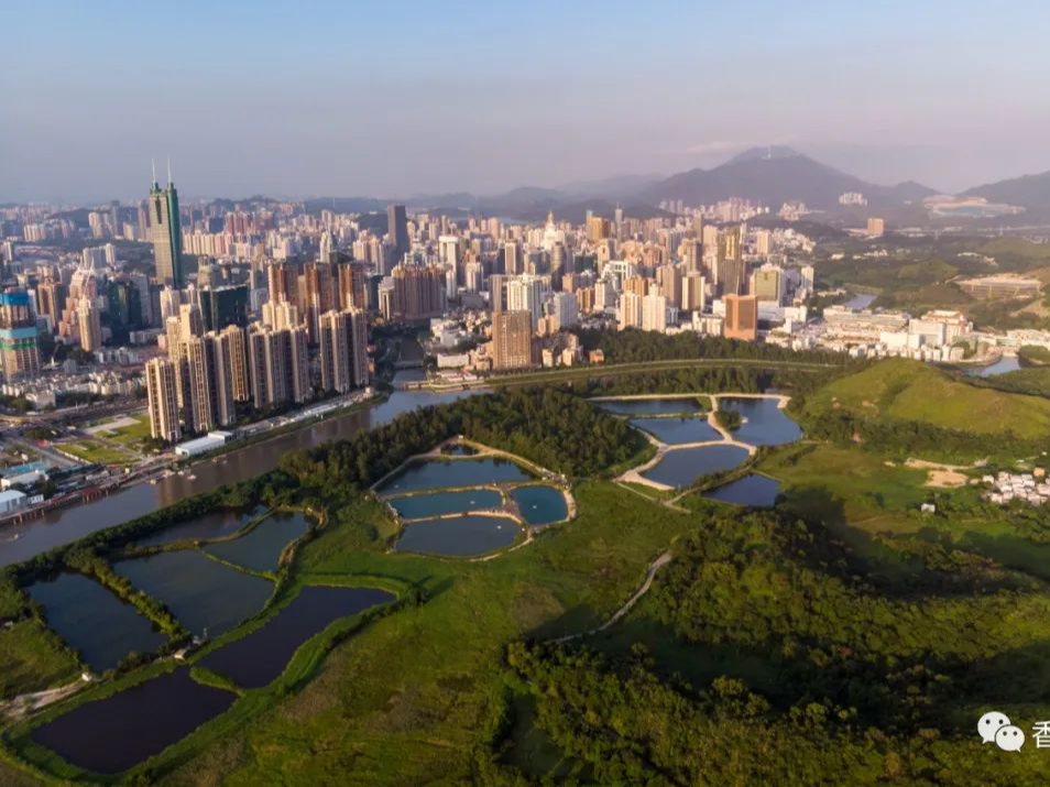 融通大湾区 | 深圳—北都会—港岛交通如何串连？香港智库有这些倡议……