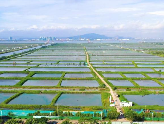 《广州农田基础设施管护办法》印发，11月起实施