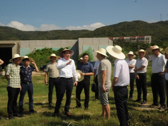 广东邮政助力农文旅产业发展