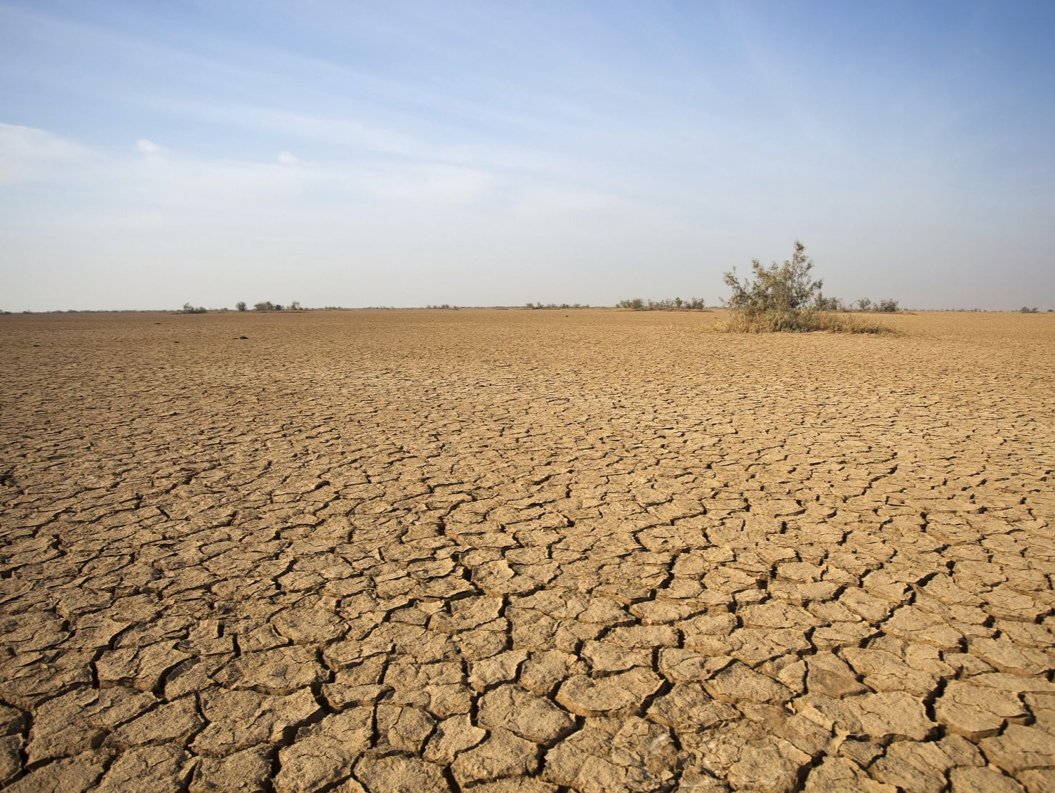 美国加州超97%的地区处于重度干旱