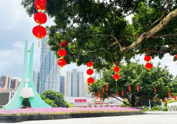 公明街道红旗飘飘 繁花似锦 喜迎国庆