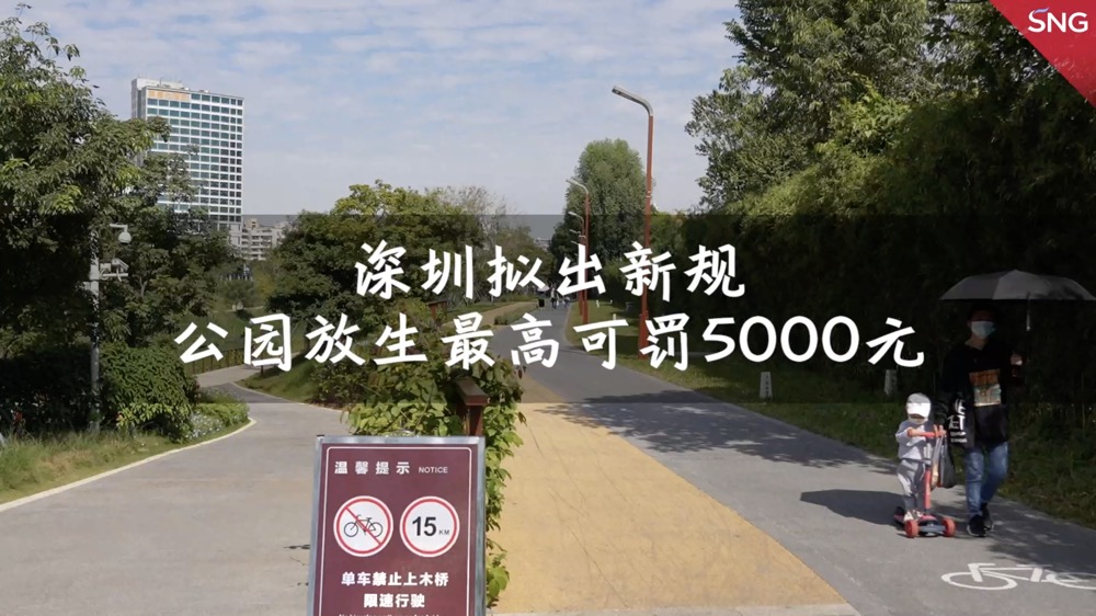 最高罚5000元！深圳拟规定公园内放生投喂都将被罚款