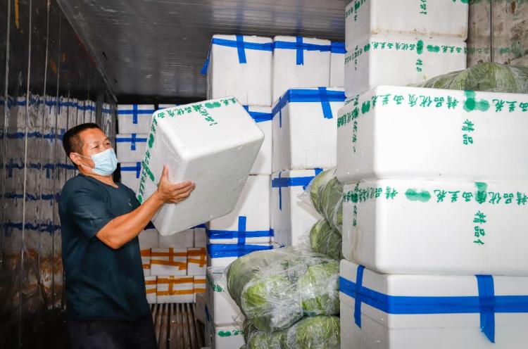 总量合计6683吨！深圳海吉星市场蔬菜储备充足 