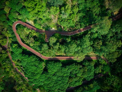 深圳森林旅游地将被打造成自然课堂