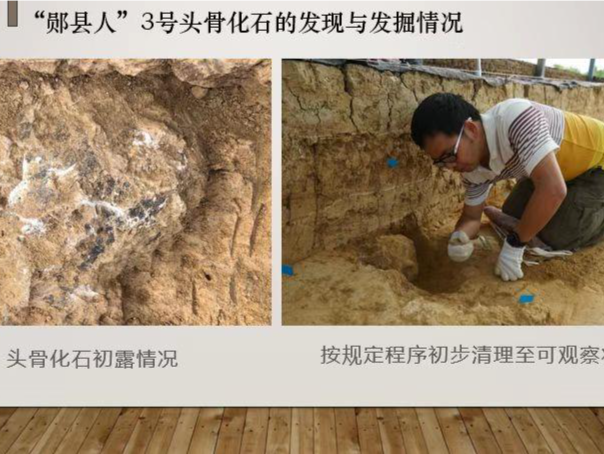 国家文物局：距今百万年头骨化石实证我国百万年人类史